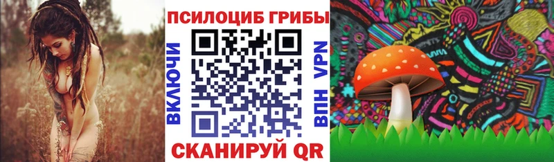 цены наркотик  Дербент  hydra зеркало  Псилоцибиновые грибы мицелий 